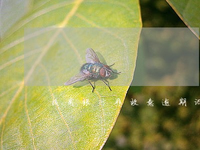 招商银行非故意逾期证明 招商银行非故意逾期证明