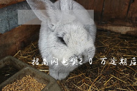 招商闪电贷20万逾期后 招商闪电贷20万逾期后