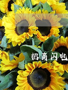招商闪电贷贷款逾期违约金能减免 招商闪电贷贷款逾期违约金能减免