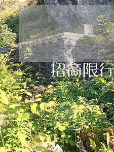 招商限行信用卡逾期怎么办 招商限行信用卡逾期怎么办