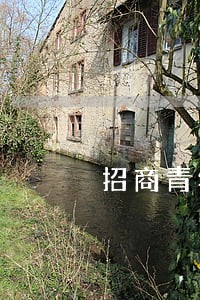 招商青年卡逾期8天 招商青年卡逾期8天