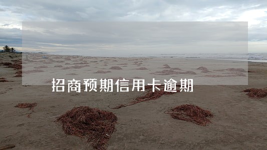 招商预期信用卡逾期 招商预期信用卡逾期