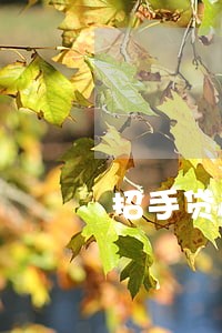招手贷逾期1000上门吗 招手贷逾期1000上门吗