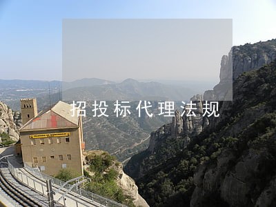 招投标代理法规 招投标代理法规
