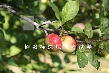 招投标法规的考试卷
