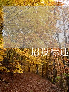 招投标违法行为会被记录 招投标违法行为会被记录
