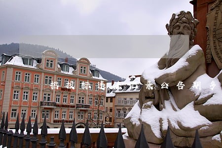 招投标违法记录公告期多久
