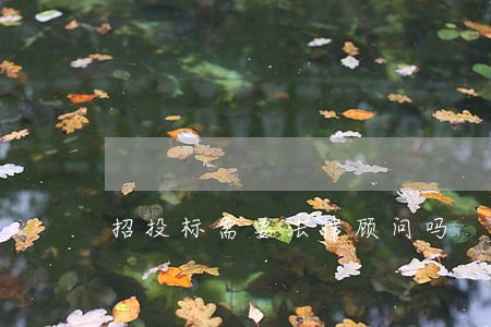 招投标需要法律顾问吗 招投标需要法律顾问吗