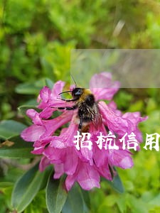 招杭信用卡逾期转法务