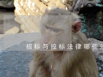 招标与投标法律哪些法规 招标与投标法律哪些法规