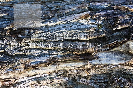 招标代理公司排名 招标代理公司排名