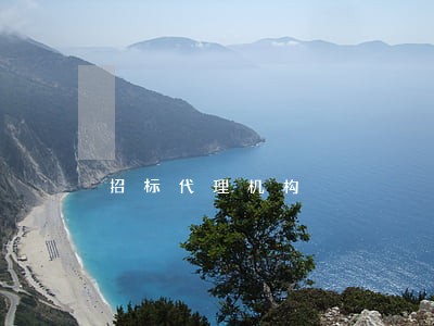 招标代理机构 招标代理机构