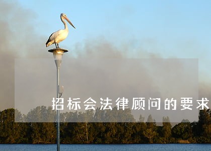 招标会法律顾问的要求 招标会法律顾问的要求