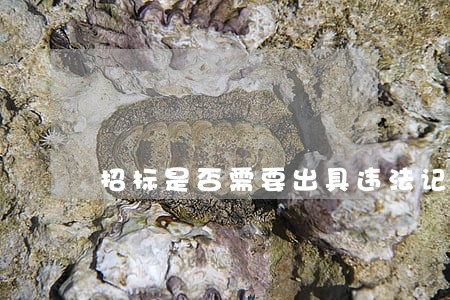 招标是否需要出具违法记录 招标是否需要出具违法记录