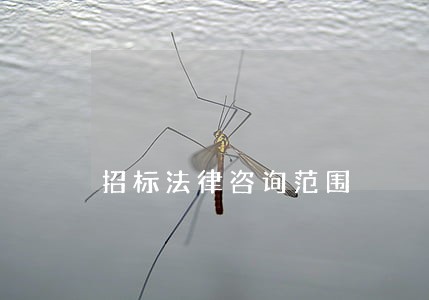 招标法律咨询范围 招标法律咨询范围