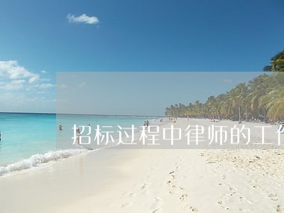 招标过程中律师的工作 招标过程中律师的工作