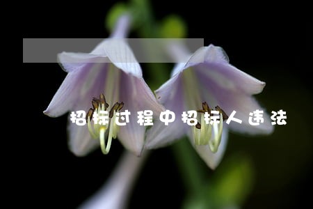 招标过程中招标人违法 招标过程中招标人违法