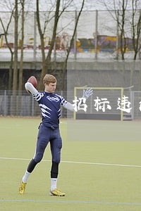 招标违法公告网站 招标违法公告网站