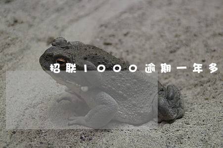 招联1000逾期一年多 招联1000逾期一年多