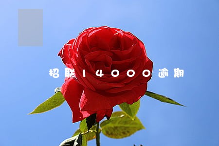 招联14000逾期