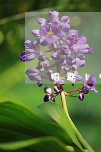 招联15万逾期1年 招联15万逾期1年