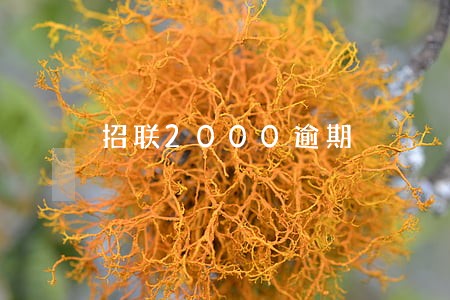 招联2000逾期 招联2000逾期