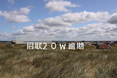 招联20W逾期 招联20W逾期
