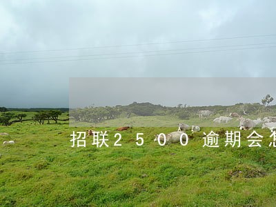 招联2500逾期会怎么样 招联2500逾期会怎么样