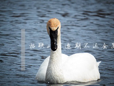 招联2万逾期不还会怎么样 招联2万逾期不还会怎么样