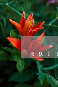 招联3000逾期五个月利息 招联3000逾期五个月利息