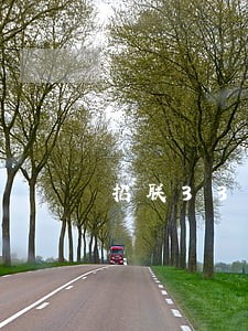 招联3300逾期会立案吗 招联3300逾期会立案吗