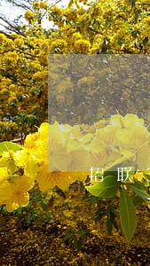 招联3万逾期 招联3万逾期