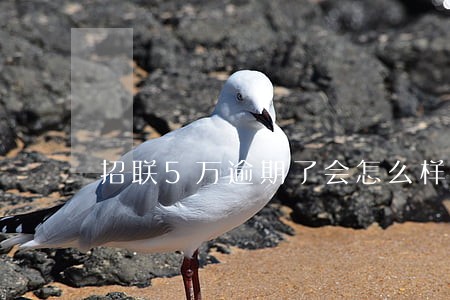 招联5万逾期了会怎么样 招联5万逾期了会怎么样