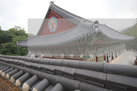 招联5万预逾期 招联5万预逾期