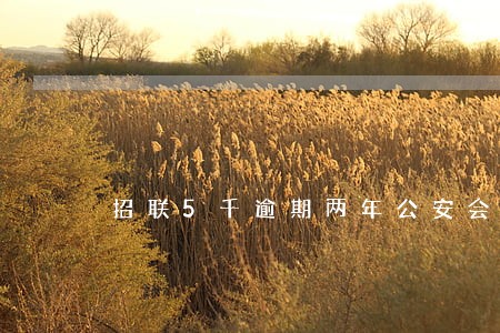 招联5千逾期两年公安会抓我吗 招联5千逾期两年公安会抓我吗