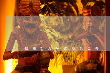 招联7万多逾期怎么办 招联7万多逾期怎么办