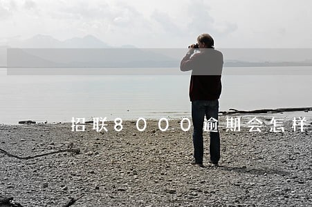 招联8000逾期会怎样
