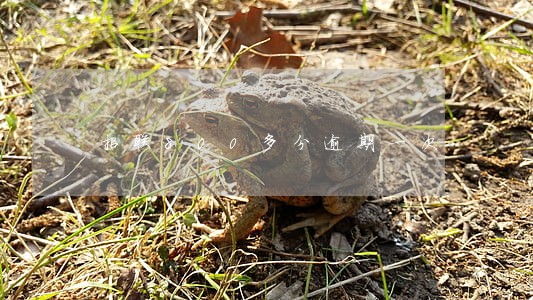 招联800多分逾期一次 招联800多分逾期一次