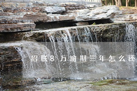 招联8万逾期三年怎么还款