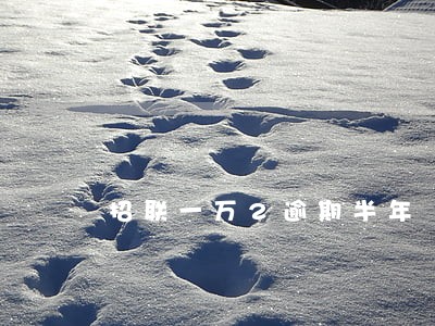 招联一万2逾期半年 招联一万2逾期半年