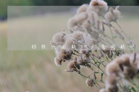 招联代逾期7天有问题吗 招联代逾期7天有问题吗