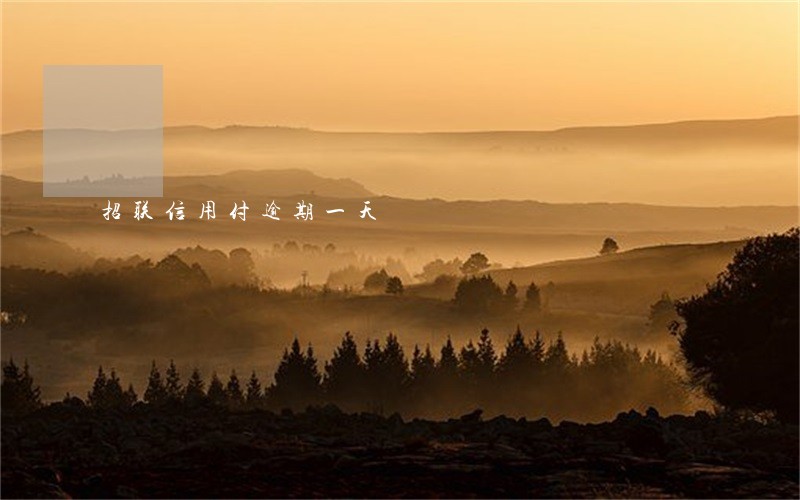 招联信用付逾期一天 招联信用付逾期一天