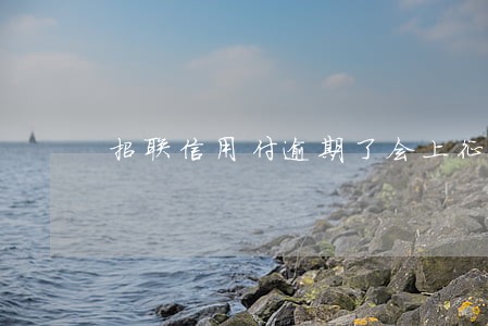 招联信用付逾期了会上征信吗 招联信用付逾期了会上征信吗