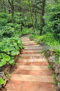 招联信用付逾期会电话通知吗 招联信用付逾期会电话通知吗