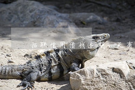 招联信用借钱逾期一天有什么后果