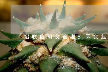 招联信用贷逾期3天会怎样 招联信用贷逾期3天会怎样