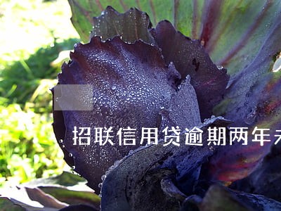 招联信用贷逾期两年未还 招联信用贷逾期两年未还