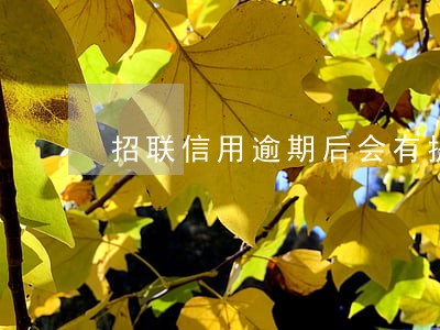 招联信用逾期后会有提醒吗 招联信用逾期后会有提醒吗