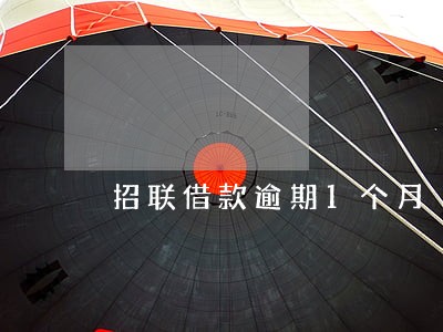 招联借款逾期1个月 招联借款逾期1个月