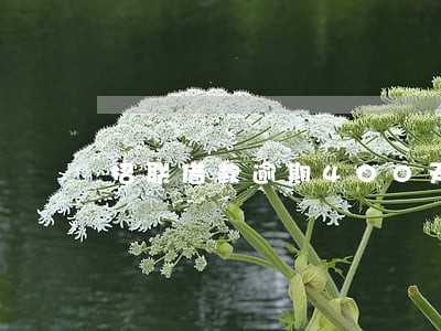 招联借款逾期400天会如何